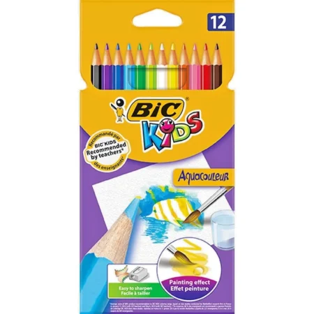 CRAYON DE COULEUR DE12 AQUARELLE BIC