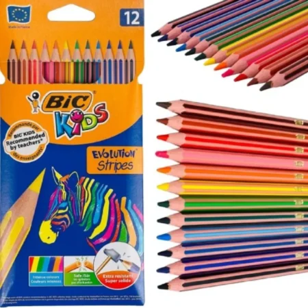 CRAYON DE COULEUR 12 BIC